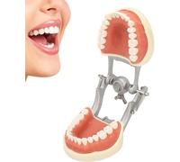 UIGJIOG 32 Dientes Estándar Dientes Modelo Enseñanza Dental Estándar Typodont Demostración Encía Blanda Dientes Modelo Limpio Exposición Estudio