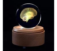 UIGJIOG Bola De Cristal 3D Cerebro Humano Modelo Anatómico Pisapapeles Grabado con Láser con Base LED Colorida Regalo De Ciencia,5x5x8cm