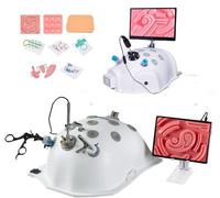 UIGJIOG Entrenador Laparoscópico Caja de Entrenamiento Laparoscópico Kit Práctica de Suturas Caja Entrenamiento Simulador Caja Entrenador Laparoscopia Kit de Simulador Laparoscópico 4 Instrumentos,0°