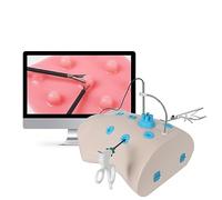 UIGJIOG Entrenador Simulación Laparoscópica Altamente Simula El Abdomen Humano Entrenador Caja Laparoscópica Laparoscopio Quirúrgico Laparoscópico 4Instrumentos Quirúrgicos Y 10Módulos Entrenamiento