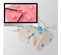 UIGJIOG Laparoscopia Módulos De Entrenamiento del Simulador De Cirugía Laparoscópica Cavidad Abdominal Modelo De Práctica del Pecho para Estudiantes De Medicina Y Entrenamiento Clínico Model