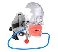 UIGJIOG Modelo de Diente Dental Simulador de Plástico Maniquí Cabeza Fantasma Cabeza de Diente para Enseñanza Tipo Diente Modelo Fija en Silla con 28 Dientes Removibles para Educación Dental