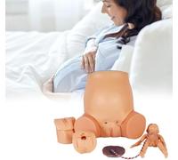 UIGJIOG Modelo de Parte Inferior del Cuerpo de Maternidad Modelo de Cordón Umbilical Fetal Modelo Avanzado de Visualización del Embarazo Simulador de Parto Materno Estándar
