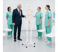 UIGJIOG Modelo Profesional de Esqueleto Humano de 180 cm de tamaño Natural Modelo de Esqueleto Humano anatómico médico con Soporte rodante