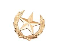 uikios Elegante broche de aleación con emblemas de trigo y estrella, pin vintage para ropa, accesorios de solapa, decoración de solapa, Large, Metal