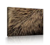UIRINGART Pelaje de oso Primer plano Gran lienzo Arte mural Imágenes de texturas de animales Impresiones de arte Cartel rústico de naturaleza Pintura para decoración del salón 75x120cm
