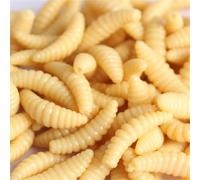 Uitndvyte 50 gusanos de silicona suave, lombrices de tierra, señuelos de pan artificiales, señuelos de pesca, señuelos artificiales, lombrices de tierra, señuelos de pesca