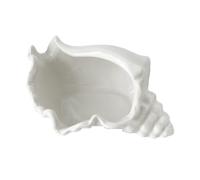 Ujjdwiurgh 1 portavelas para velas de té, plato de joyería con diseño de concha de concha blanca, tema de playa oceánica