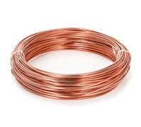 Ujjdwiurgh Alambre de cobre puro desnudo de calibre 8 de 100 pies para hacer joyas, manualidades y jardinería electrocultural