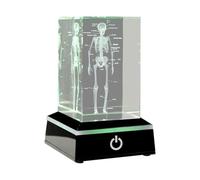 Ujjdwiurgh Figuras de cubo de cristal esquelético humano grabado en 3D, regalos de ciencia médica, pisapapeles modelo anatómico de órgano A