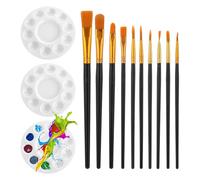 Ujjdwiurgh Juego de 10 pinceles de pintura acrílica de nailon, 3 piezas, bandeja redonda para pintar