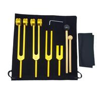 Ujjdwiurgh Juego de 4 Diapasones, Diapasón para Chakra Musical, Terapia de Sonido, Mantiene el Cuerpo, la Mente y el Espíritu en Armonía 128C