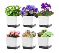 Ujjdwiurgh Macetas para Suculentas de 3,9 Pulgadas con Orificio de Drenaje, Paquete de 6 Macetas PequeñAs Estilo Maceteros para Plantas de Interior, Idea de Regalo