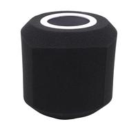 Ujjdwiurgh Protector acústico de filtro de viento para micrófono, para estudios de disco, espuma absorbente de sonido para la mayoría de micrófonos, soporte B