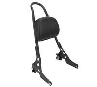 UJNHEQ Almohadilla del Respaldo del Pasajero Respaldo Trasero De Pasajero para Motocicleta Sissy Bar, Cojín Cromado Negro para Harley para Sportster 883 1200 XL XL883 04-22(Chrome)