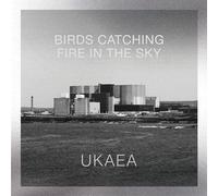 UKAEA - Birds Catching Fire in The Sky [Vinilo]
