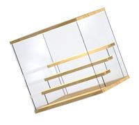 Ukbzxcmws Vitrina de acrílico a prueba de polvo pequeño juguete vitrina transparente cubo de almacenamiento adecuado para la presentación de coleccionables
