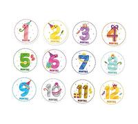 UKCOCO 24piezas Pegatinas Mensuales Para Bebés De Adorables Stickers Para Capturar Del Primer Año Perfectos Para Compartir Crecimiento Redes Sociales y Crear Álbumes De Recuerdos