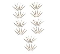 UKCOCO 5 Series Mezuzah Scrolls Judaica Doorpost Blessings Religious Jewish Ornament Israel Home Decor Traditional Hebrew Prayer Scrolls For Housewarming 12 Piezas X 5