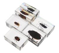 UKCOCO 6 piezas Figuras de Insectos Realista para Colección Educativa Ciencia Aula y Decoración Hogar Muestras Biológicas
