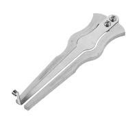 UKCOCO Arpa de Boca Portátil de Tamaño Mini, Instrumento Musical Étnico Ruso de Sonido Brillante, Arpa de Mandíbula Profesional en Plata Curva para Música Folclórica y Jazz, Adecuado