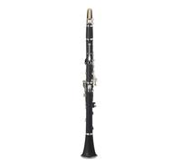 UKCOCO Clarinete Bemol para Principiantes, Material de Baquelita Negra, Incluye Paño de Limpieza y Accesorios, Instrumento Musical de Viento para Práctica y Conciertos