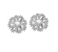 UKCOCO Clips para Zapatos de Perla y Aleación, Adornos Decorativos Desmontables para Mujer, Hebillas DIY para Boda y Uso Diario, Accesorios Elegantes para Tacones y Sandalias