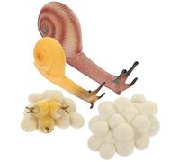 UKCOCO Educativo Ciclo de Crecimiento de Caracol de Juguetes Cognitivos para Preescolares Aprendizaje Biológico Divertido y Realista para Desarrollo Cognitivo