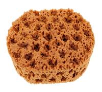 UKCOCO Herramienta de Pintura con Esponja de Marina Reutilizable Aplicador Cómodo para Arte para Artistas y Manualidades Diseño Pequeño para Técnicas de Punteado y Estampado