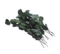 UKCOCO Hojas de Eucalipto Preservadas de 45 Cm para Adorno Rústico en Bodas y Fiestas Familiares, Relleno Natural para Florero en Color Verde