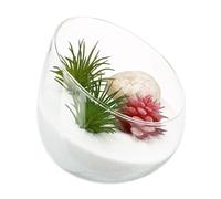 UKCOCO Jarrón de Vidrio Forma Burbuja para Terrario de Plantas, Botella para Suculentas Naturales y Frascos de Decoración Interior