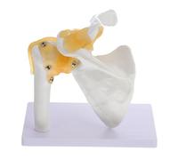 UKCOCO Modelo de Articulación del Hombro, Modelo de Articulación del Húmero, PVC Blanco, Lavable, Base Estable, Superficie Lisa, para Enseñanza de Anatomía y Escuelas