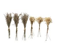 UKCOCO Set de 6 Ramitos de Flores Secas Naturales Paniculata para Adornos de Hogar y Bodas, Tallos en Colores Variados, Material Plástico Resistente a Cambios Climáticos Color Aleatorio