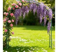 Ukkajovlex Arco para Plantas Trepadoras Y Rosas, Ancho De 80cm A 350cm，Arco Jardín De Metal, Arco De Boda Redondo，Enrejado De Arco De Jardín Inoxidable(Green,Width 300xHeight 220cm)