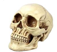 Ulalaza Regalos Decoración Sonriente Réplica Realista Cráneo Humano Casa Estatua Escultura Resina