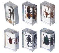 ULDIGI 6 Piezas Pisapapeles de Insectos de Resina Especímenes Preservados para Decoración de Oficina y Colección Educativa Elegante Artesanía