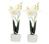 ULDIGI Juego de 2 Plantas Artificiales de Orquídeas en Maceta de Plástico y Cerámica, Fáciles de Limpiar y Cuidar para Decoración en Restaurantes y Clubes