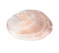 ULDIGI Plato Decorativo Beige con Forma de Concha Natural, 1Pc, Funcional para Servir Alimentos y Uso en Decoración de Interiores Color Aleatorio