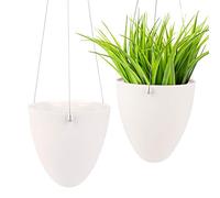 Ulikey 2Pcs Colgante de Plantas Macetas para Plantas Colgantes, Maceta de Colgante de Plástico, Colgante de Plantas, Suculento Aire Planta Maceta para Hogar, Exterior, Balcón y Jardín (2pcs)