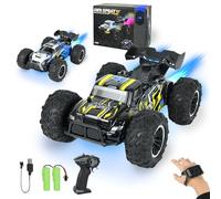 Ulikey Coche Teledirigido Todoterreno, 1:16 Coche Radiocontrol con Dos Carcasas, Spray, Luz y 2 Pilas, 2,4 GHz Carro Telecomandado, RC 4x4, Remote Control Car, Regalos Cumpleaños Juguete Niños