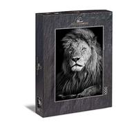 Ulmer Puzzleschmiede - Puzzle El León - Puzzle de 1000 Piezas - león poderoso sobre Fondo Negro