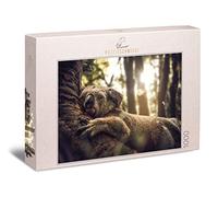 Ulmer Puzzleschmiede - Puzzle El soñador - Koala Comienza cómodamente el día - Agradable Rompecabezas de Animales de 1000 Piezas de Australia con el Oso Koala Dormido
