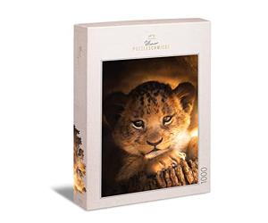 Ulmer Puzzleschmiede - Puzzle pequeño príncipe - Precioso puzle de Animales de 1000 Piezas - El pequeño león mira la luz del Sol en África - Pequeño Gato depredador como Puzzle de Cuento de Hadas