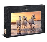 Ulmer Puzzleschmiede - Rompecabezas de caballos Camarga - Puzzle de animales de 2000 piezas - El caballo blanco en la naturaleza en la Camarga, Provenza, Sur de Francia