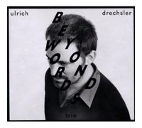 Ulrich Drechsler - Beyond Words