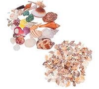 ULTECHNOVO 1 Juego Conjunto De Decoración De Concha Playa Acuario Accesorio De Pecera Conchas De Mar Decoración De Peces Artesanía De Conchas Marinas Caparazón