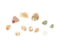 ULTECHNOVO 2 Juegos Conch Decoración de Peces de Pescado Conchas Accesorios para peceras decoración de caracola Tanque Decoraciones de peceras Adornos de Peces para Acuario