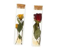 ULTECHNOVO 2Piezas Flores y Amarilla Mini de Vidrio Decorativas para Mensajes Ocultos y Especiales