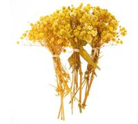 ULTECHNOVO 3 Ramos de Flores Secas de Aliento de Ñiño Amarillo Decoración para Bodas y Hogar Pequeñas sin Mantenimiento en Caja para Arreglos y Manualidades Decorativas