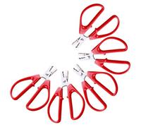 ULTECHNOVO 5 Piezas Cascanueces de Acero Inoxidable Mango Ergonómico para Pelar Semillas de Melón y Nueces, Fácil Limpieza y Uso Versátil en Picnics y Aventuras al Aire Libre